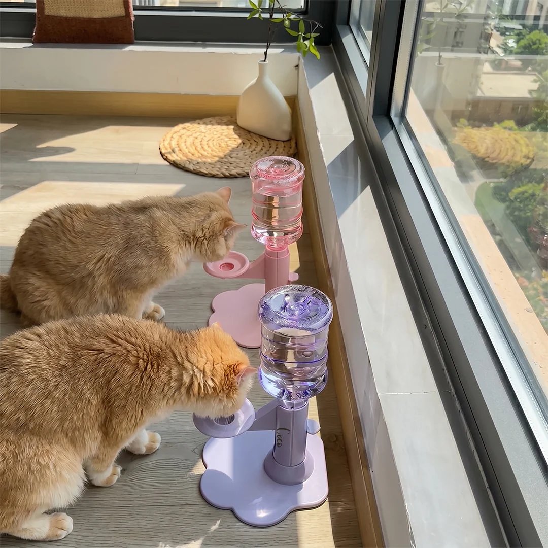 🔥HOT SALE ✨ Personalized Adjustable Pet Water Dispenser