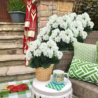 🌸 LAST DAY 50%OFF🌸 Bundles Artificial Geranium Flowers For Outdoors Geranium Flowers Outdoor Artificial Flowers UV Resistant Garden Plants Faux Flowers For Home Kitchen Table Centerpieces Patio Decor