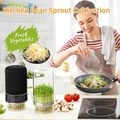 Updated Sprouting Kit - Sprouting Jar Kits