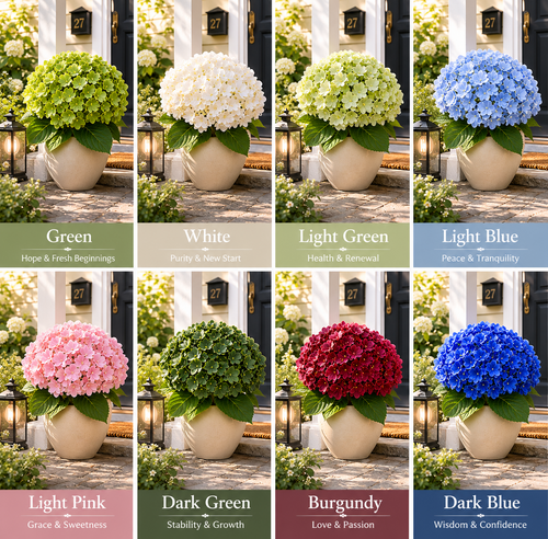 🔥Last Day 50% OFF🔥Artificial Hydrangea Flowers -No maintenance required, blooms all year round