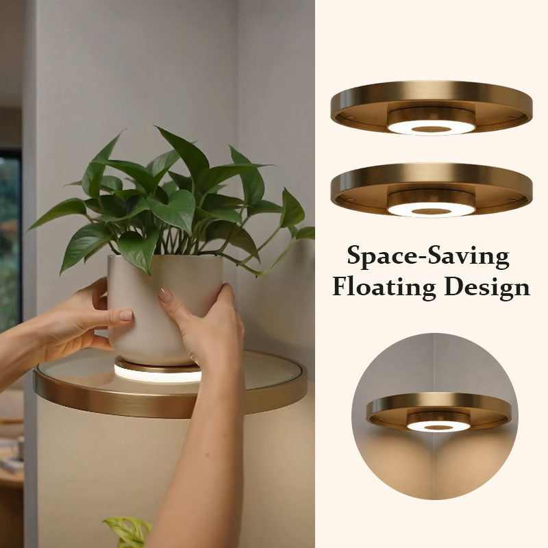 🌟Floating wall shelf with built-in ambient LED lights and battery🌲