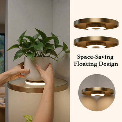 🌟Floating wall shelf with built-in ambient LED lights and battery🌲