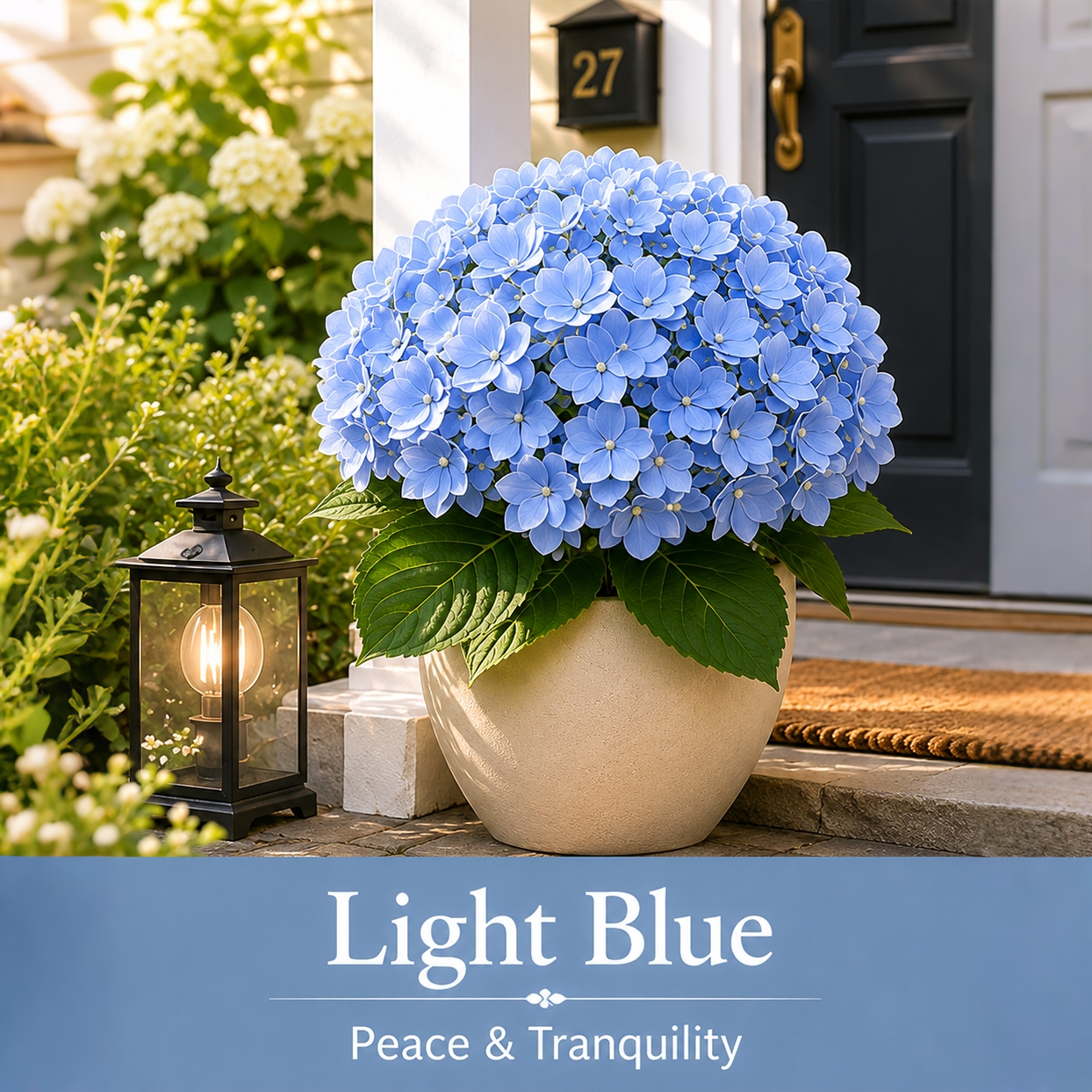 🔥Last Day 50% OFF🔥Artificial Hydrangea Flowers -No maintenance required, blooms all year round