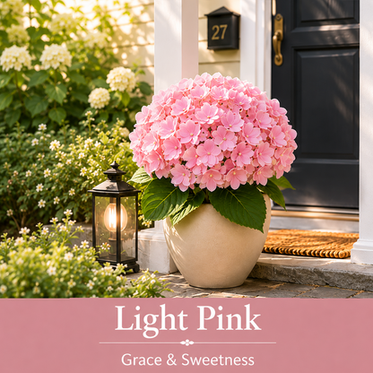 🔥Last Day 50% OFF🔥Artificial Hydrangea Flowers -No maintenance required, blooms all year round
