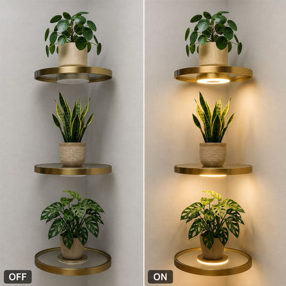 🌟Floating wall shelf with built-in ambient LED lights and battery🌲