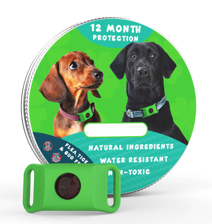 🐕12 Months Flea and Tick Free⏰