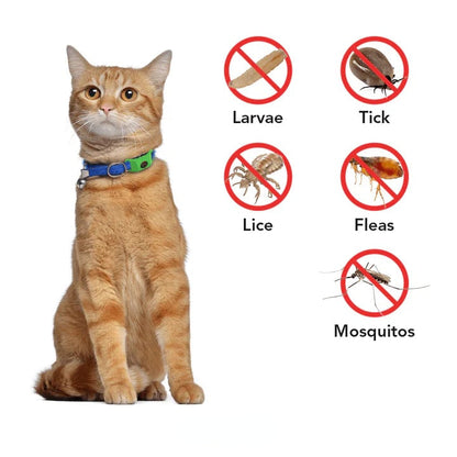 🐕12 Months Flea and Tick Free⏰