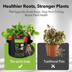 Plainlygoods™ 5-Pack 10 Gallon Grow Bags