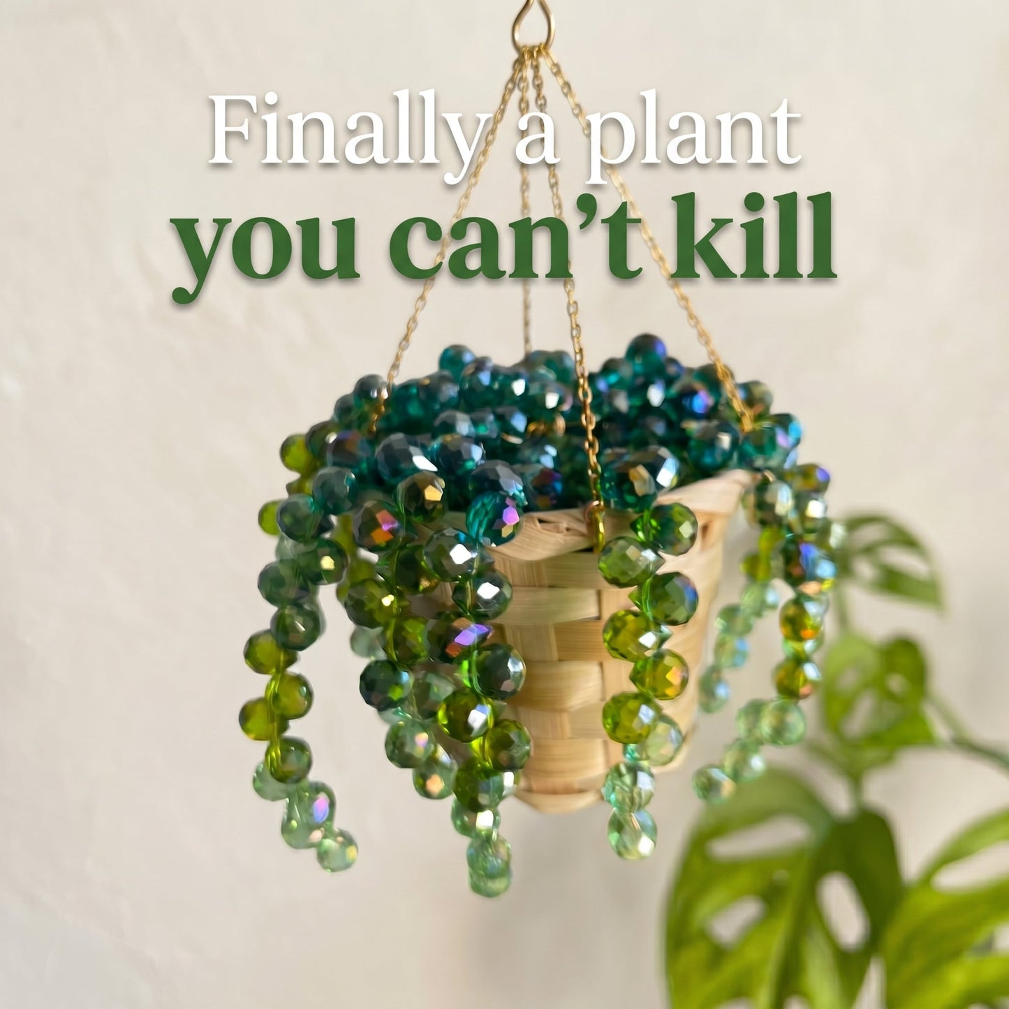 Mati's DIY Suncatchers Kits