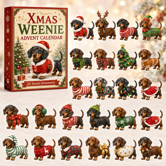 🐶Limited Edition🐕🎄 2026 Christmas Dachshund Advent Calendar