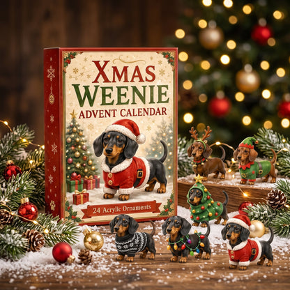 🐶Limited Edition🐕🎄 2026 Christmas Dachshund Advent Calendar