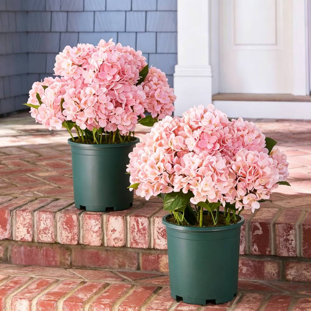 💥Last Day 50% OFF💐Artificial Outdoor Hydrangea Flowers - UV resistant, Waterproof, Windproof
