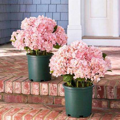 💥Last Day 50% OFF💐Artificial Outdoor Hydrangea Flowers - UV resistant, Waterproof, Windproof