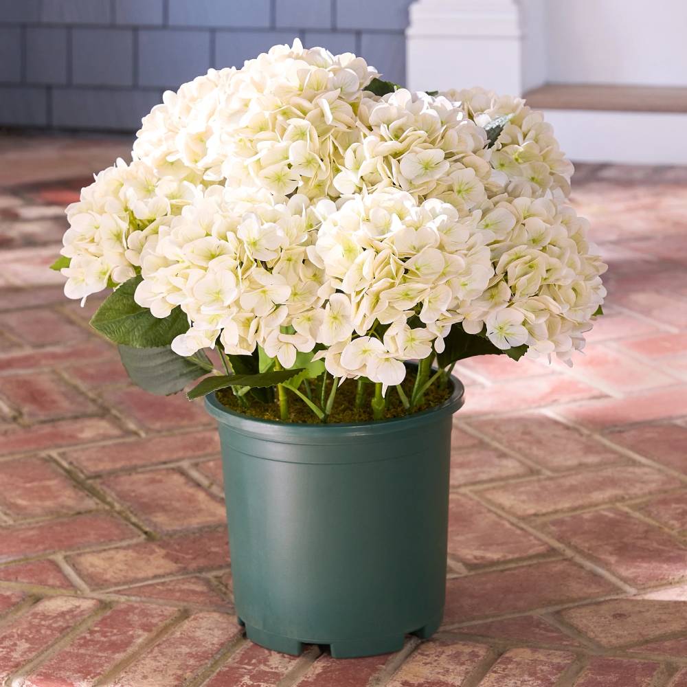 💥Last Day 50% OFF💐Artificial Outdoor Hydrangea Flowers - UV resistant, Waterproof, Windproof