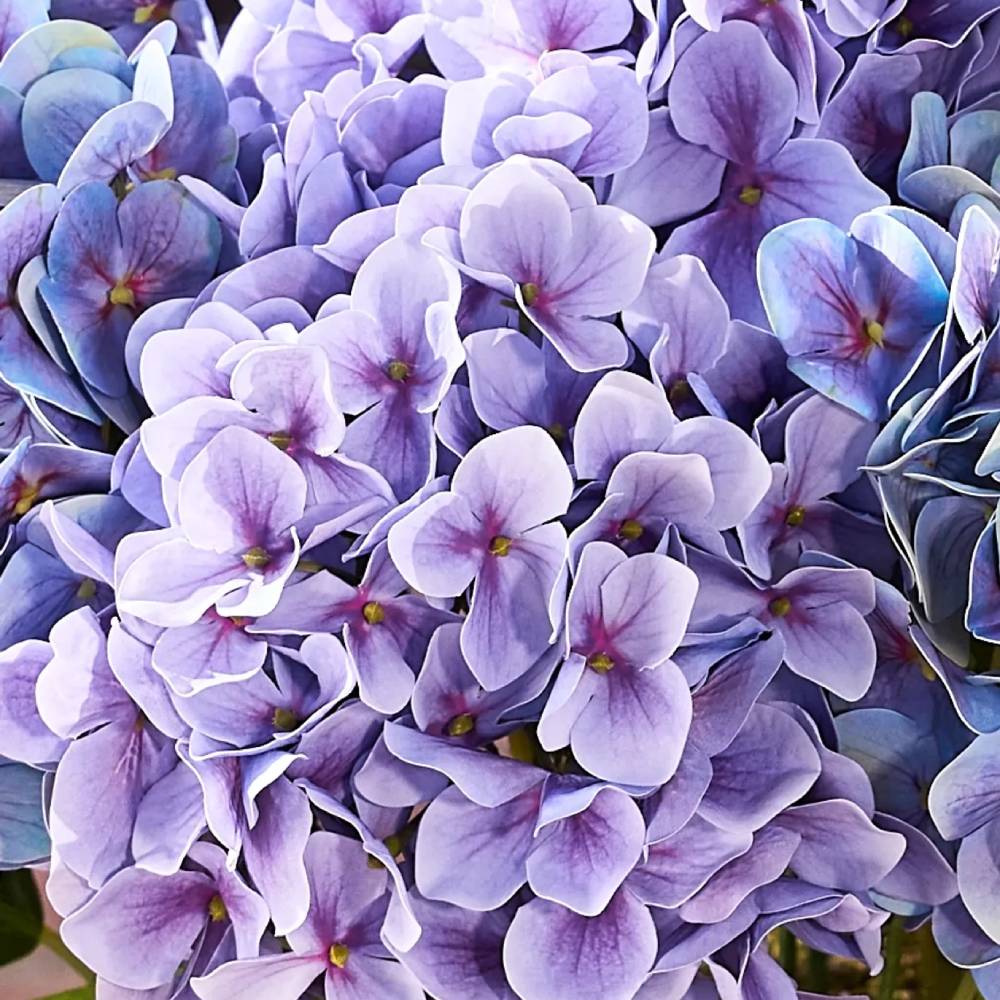 💥Last Day 50% OFF💐Artificial Outdoor Hydrangea Flowers - UV resistant, Waterproof, Windproof