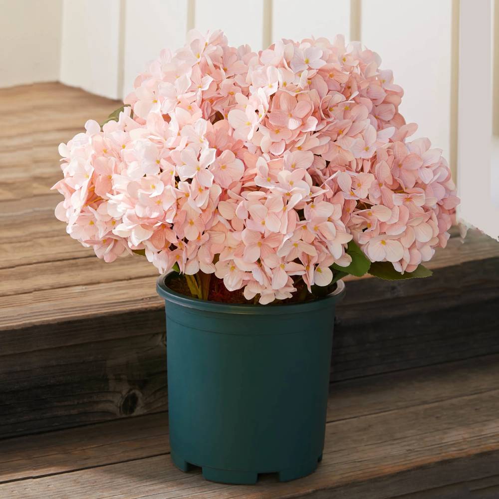💥Last Day 50% OFF💐Artificial Outdoor Hydrangea Flowers - UV resistant, Waterproof, Windproof