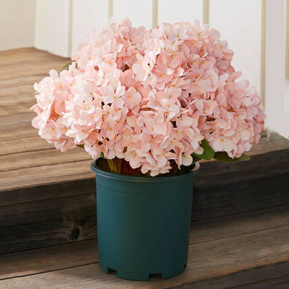 💥Last Day 50% OFF💐Artificial Outdoor Hydrangea Flowers - UV resistant, Waterproof, Windproof