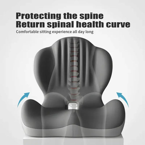 Ergonomic Memory Foam Seat Cushion with Lumbar