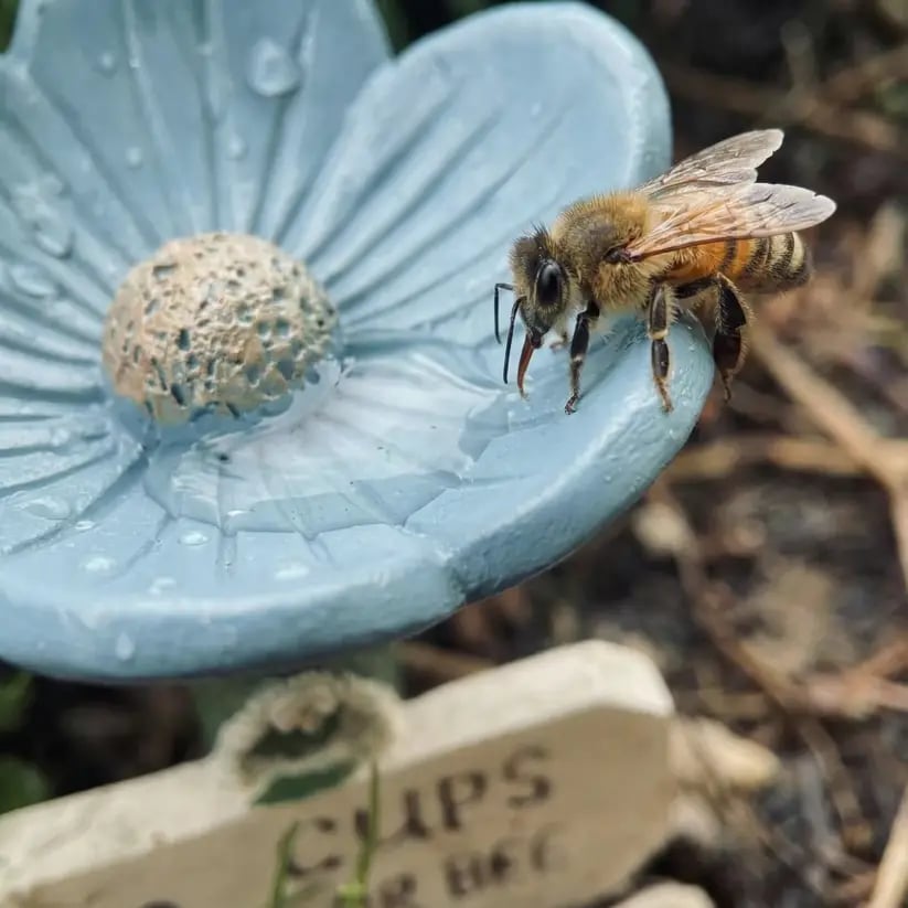🌸Flower-Shaped Bee Watering Station🐝