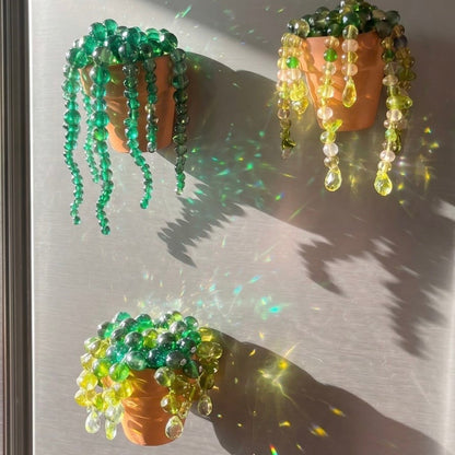 Mati's DIY Suncatchers Kits