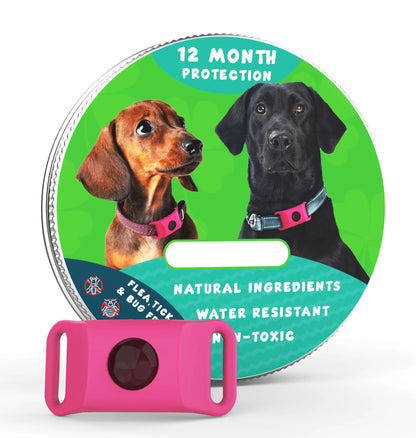 🐕12 Months Flea and Tick Free⏰
