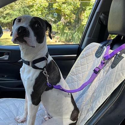 2-in-1 Dog Car Seat Belt & Walking Leash