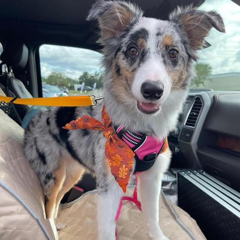 2-in-1 Dog Car Seat Belt & Walking Leash