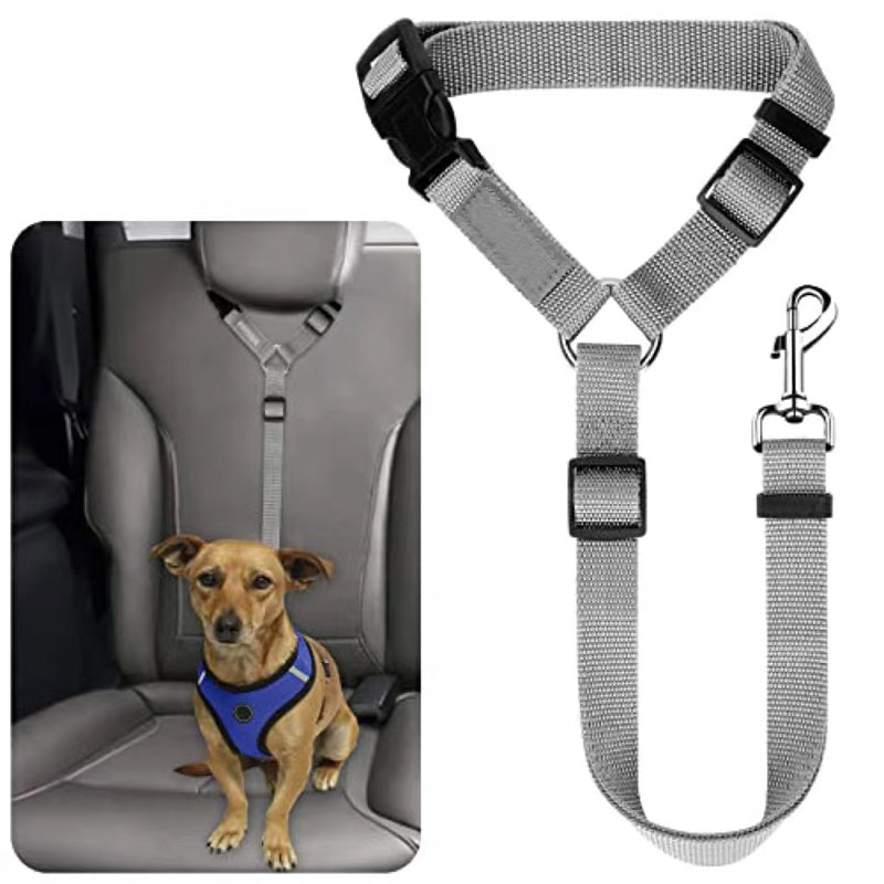 2-in-1 Dog Car Seat Belt & Walking Leash